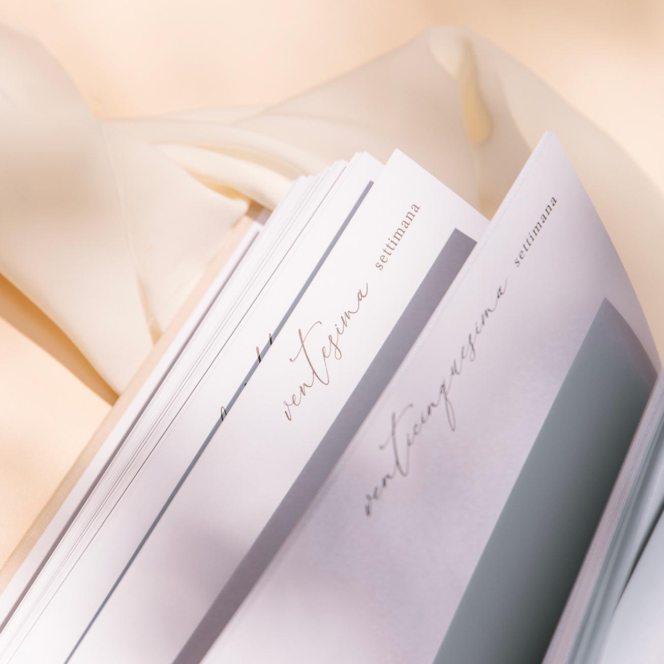 Diario della gravidanza