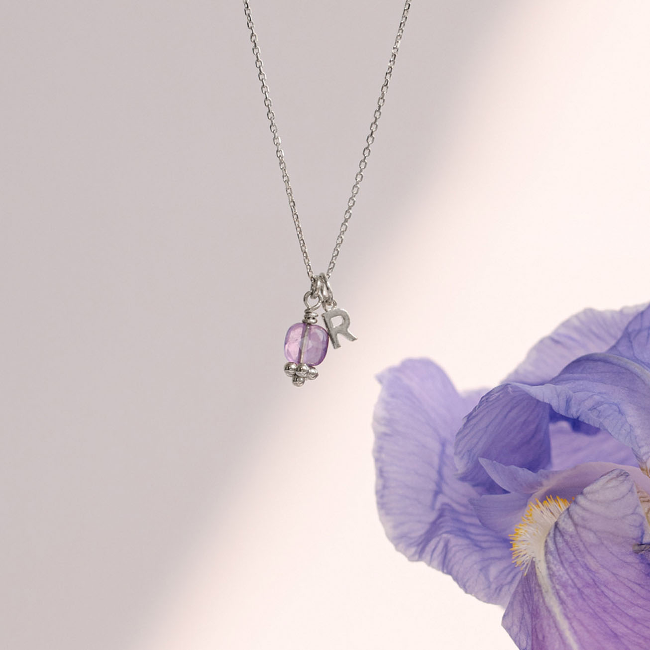 Collana iniziale ametista pietra di febbraio argen