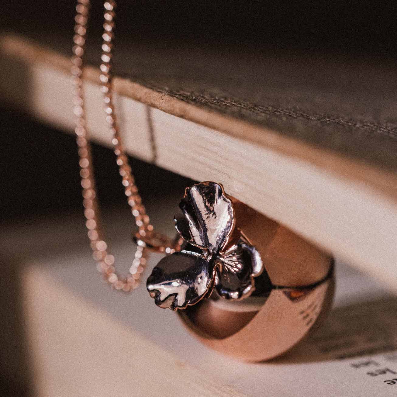Chiama Angeli Dafne - Viola del pensiero oro rosa